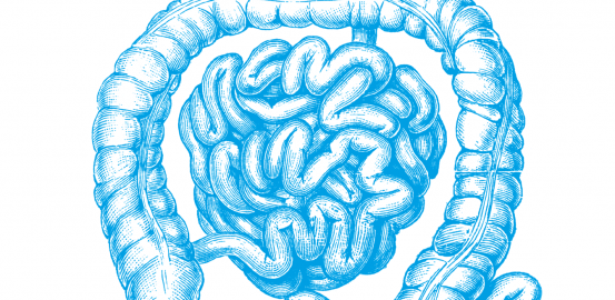 Research: The gut, your other brain