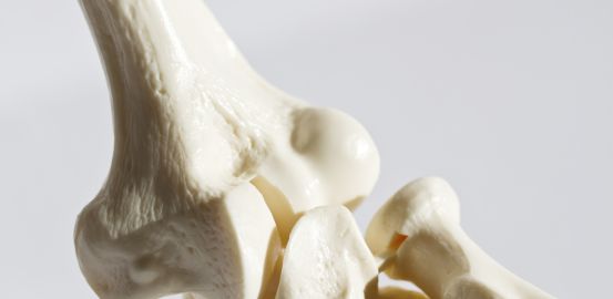 New perspectives for treatment of osteoporosis
