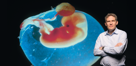 «Transférer un embryon est quelque chose de magique»
