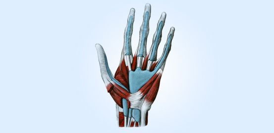 Bionic hands: touch, move, feel?